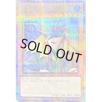 〔状態B〕アクアマドール【クォーターセンチュリーシークレット】{QCLP-JP002}《モンスター》