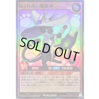 はぐれ使い魔術師【スーパー】{RD/B243-JP006}《RDモンスター》