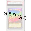 〔PSA10鑑定済〕カースオブドラゴン【ウルトラ】{RD/B222-JP001}《RDモンスター》