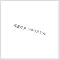 ジェムナイトサフィア【ノーマル】{SPRG-JP028}《モンスター》