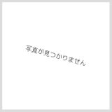 ジェムナイトサフィア【ノーマル】{SPRG-JP028}《モンスター》