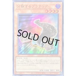 画像1: 〔状態A-〕分裂するプラナリア【ウルトラ】{VJMP-JP258}《モンスター》