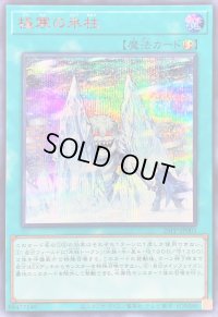 〔状態A-〕極寒の氷柱【シークレットSPECIAL RED Ver.】{25PP-JP005}《魔法》