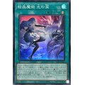 〔状態A-〕結晶魔術光の涙【スーパー】{25PP-JP019}《魔法》