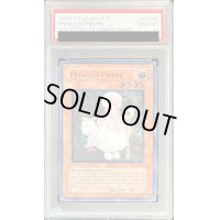 〔PSA10鑑定済〕☆旧アジア☆魔法の国の王女ピケル【レリーフ】{SOI-AE027}《コレクター向け》