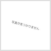 CNo105BK彗星のカエストス【レリーフ】{LTGY-JP052}《エクシーズ》