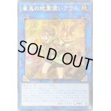 ☆アジア☆崔嵬の地霊使いアウス【シークレット】{アジアQCCP-JP189}《リンク》