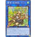 ☆アジア☆蒼翠の風霊使いウィン【シークレット】{アジアQCCU-JP188}《リンク》