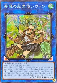 ☆アジア☆蒼翠の風霊使いウィン【シークレット】{アジアQCCU-JP188}《リンク》