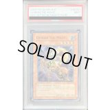 〔PSA9鑑定済〕☆旧アジア☆賢者ケイローン【レリーフ】{FET-AE021}《コレクター向け》