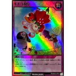 画像1: イチゴ狩り【スーパー】{RD/B242-JP012}《RD罠》
