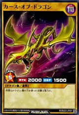 〔状態B〕カースオブドラゴン【ノーマル】{RD/B222-JP001}《RDモンスター》