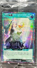 (未開封)天の加護【シークレットSPECIAL RED】{RD/P007-JP002}《RD魔法》