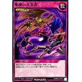 邪神の大災害【ノーマル】{RD/B234-JP001}《RD罠》
