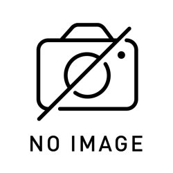 画像1: ホーリーナイトドラゴン【クォーターセンチュリーシークレット】{EDC1-JP002}《モンスター》