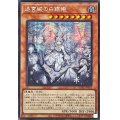 〔状態A-〕☆アジア☆[新]迷宮城の白銀姫(5人)【シークレット】{アジアQCAC-JP011}《モンスター》