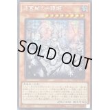 〔状態A-〕☆アジア☆[新]迷宮城の白銀姫(5人)【シークレット】{アジアQCAC-JP011}《モンスター》