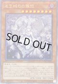〔状態B〕☆アジア☆[新]迷宮城の白銀姫(5人)【クォーターセンチュリーシークレット】{アジアQCAC-JP011}《モンスター》