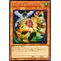 ☆アジア☆[新]ドロールロックバード(鳥左上)【シークレット】{アジアQCAC-JP070}《モンスター》