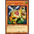 〔状態B〕☆アジア☆[新]ドロールロックバード(鳥左上)【シークレット】{アジアQCAC-JP070}《モンスター》