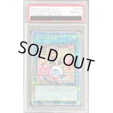 〔PSA10鑑定済〕[新]墓穴の指名者(LiveTwin)【クォーターセンチュリーシークレット】{QCAC-JP015}《魔法》