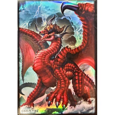 遊戯王 子征竜 セット - JDirectItems Fleamarket Proxy