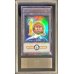 画像1: 〔ARS10鑑定済〕The10thYuGiOh!CHAMPIONSHIPSERIESJAPAN【ウルトラパラレル】{24YJ-JPT03}《トークン》 (1)