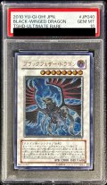 〔PSA10鑑定済〕ブラックフェザードラゴン【レリーフ】{TSHD-JP040}《シンクロ》