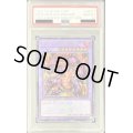 〔PSA10鑑定済〕メテオブラックドラゴン(ロゴ)【シークレット】{TDPP-JP017}《融合》