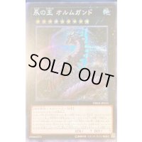 〔状態B〕☆アジア☆永の王オルムガンド【シークレット】{アジアDBMF-JP033}《エクシーズ》