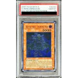 〔PSA10鑑定済〕☆旧アジア☆DHEROダイヤモンドガイ【レリーフ】{EOJ-AE003}《コレクター向け》