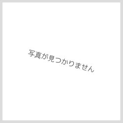 画像1: ジェネラルデーモン【ノーマル】{DE01-JP129}《モンスター》