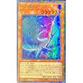 眩月龍セレグレア【ウルトラパラレル】{25WP-JP101}《モンスター》