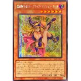 ☆アジア☆魔術師の弟子ブラックマジシャンガール【シークレット】{アジアALIN-JP004}《モンスター》