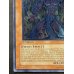 画像5: 〔状態A-〕☆旧アジア☆幻魔皇ラビエル【レリーフ】{SOI-AE003}《コレクター向け》
