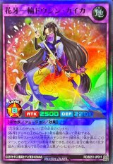 花牙一輪ドウシンカイカ【スーパー】{RD/B251-JP011}《RDフュージョン》