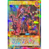 暗黒の竜騎士【ウルトラパラレル】{RD/S251-JP001}《RDモンスター》