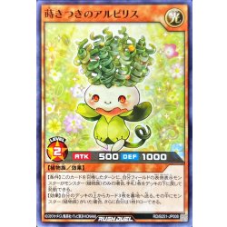 画像1: 〔状態A-〕蒔きつきのアルピリス【ノーマル】{RD/B251-JP008}《RDモンスター》