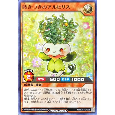 〔状態A-〕蒔きつきのアルピリス【ノーマル】{RD/B251-JP008}《RDモンスター》