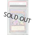 〔PSA10鑑定済〕NoPUNKディアノート【クォーターセンチュリーシークレット】{QCTB-JP027}《モンスター》