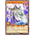 幻書鳩の騎士ナイトヴィジョン【ノーマル】{RD/B251-JP009}《RDモンスター》