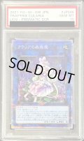 〔※状態難/PSA10鑑定済〕クラリアの蟲惑魔【プリズマティックシークレット】{LIOV-JP046}《リンク》