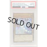 〔※状態難/PSA10鑑定済〕青眼の白龍【クォーターセンチュリーシークレット】{QCPC-JP001}《モンスター》