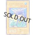 〔状態C〕アクアマドール(STARTERBOX劇場限定発売版)【ノーマル】{-}《モンスター》