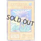 〔状態C〕アクアマドール(STARTERBOX劇場限定発売版)【ノーマル】{-}《モンスター》