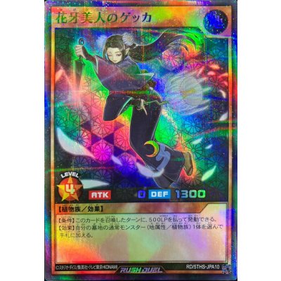 〔状態A-〕花牙美人のゲッカ【スーパーパラレル】{RD/5THS-JPA10}《RDモンスター》