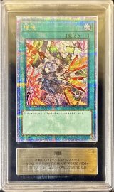〔ARS10鑑定済〕(新)増援【クォーターセンチュリーシークレット】{ART1-JP001}《魔法》