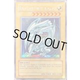 〔状態B〕BlueeyesWhiteDragon【シークレット】{DDS-001}《モンスター》
