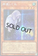 ☆アジア☆[新]朔夜しぐれ(月右下)【シークレット】{アジアQCAC-JP053}《モンスター》