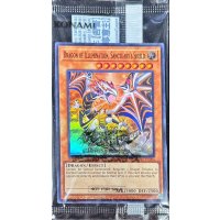 ☆アジア☆(未開封)DragonofIlluminationSanctuarysShield【ウルトラ】{アジア2025-EN004}《モンスター》